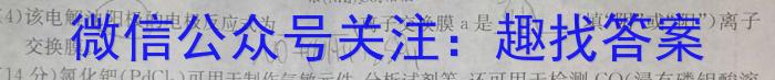 天一大联考·齐鲁名校联盟2024-2023学年高三第三次联考化学