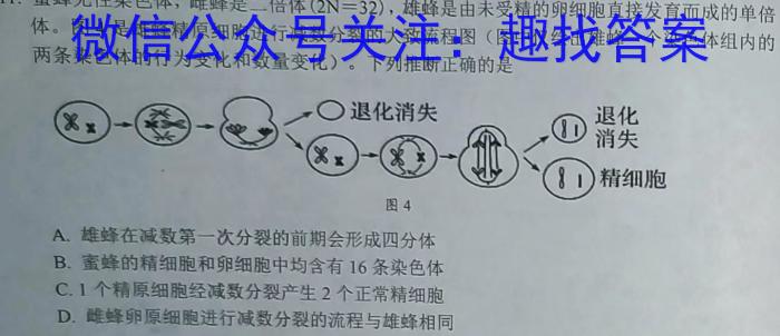 ［泸州三诊］泸州市高2020级第三次教学质量诊断性考试生物试卷答案