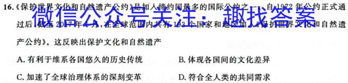 2023届安徽省中考规范总复习(九)历史