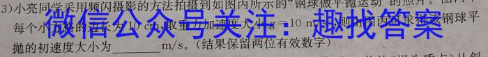 2023年中考密卷·临考模拟卷(一)1f物理