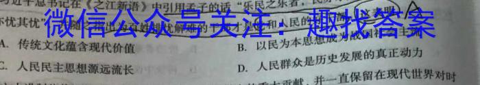 安徽省2023年肥西县九年级第二次质量调研政治s