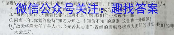 2023年岳阳县高三下学期新高考适应性测试语文