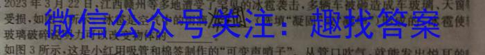 镇安县2023年初中学业水平模拟考试(二)物理`