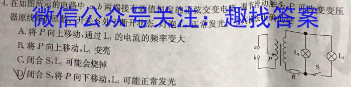 伯乐马 2023年普通高等学校招生新高考押题考试(一)物理`