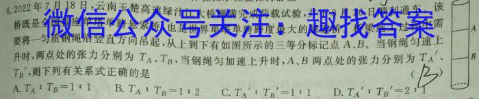 2023年普通高等学校招生全国统一考试适应性考试(5月)物理`