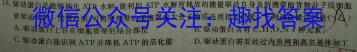 2023年湖北省新高考协作体高一5月联考生物试卷答案