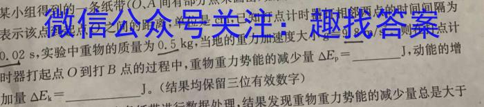 快乐考生 2023届双考信息卷·第八辑 锁定高考 冲刺卷(四)l物理