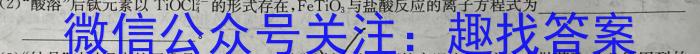 2023届陕西省九年级教学质量检测(正方形包黑色菱形)化学