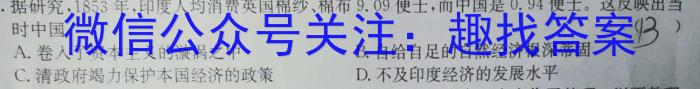 湖南省2023年5月高三模拟考试历史
