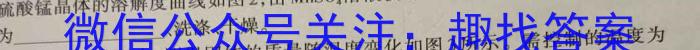 贵州省六盘水市2023年高三适应性考试(二)化学