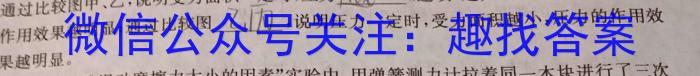 安徽省2022-2023学年度第二学期九年级G5联动教研第一次调研（下学期）l物理