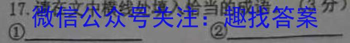 文博志鸿 2023年河北省初中毕业生升学文化课模拟考试(冲刺二)语文