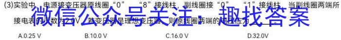 文博志鸿 2023年河北省初中毕业生升学文化课模拟考试(状元卷一)l物理