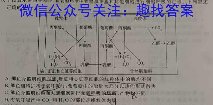 安徽省滁州市明光市2023年九年级第二次模拟考试生物