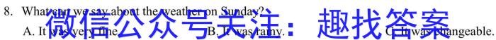 T2·2023年陕西省初中学业水平考试模拟试卷A英语