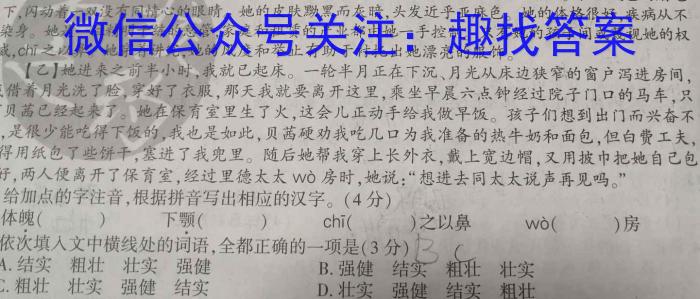 2023年安徽省初中学业水平考试冲刺试卷（一）语文