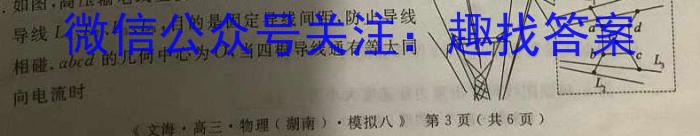 广西国品文化 2023年高考桂柳信息冲刺压轴卷l物理