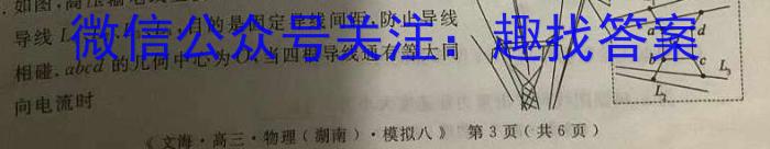 2023年陕西省初中学业水平考试模拟试卷W5.物理