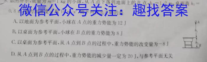 江淮教育联盟2023年春季九年级第二次联考f物理