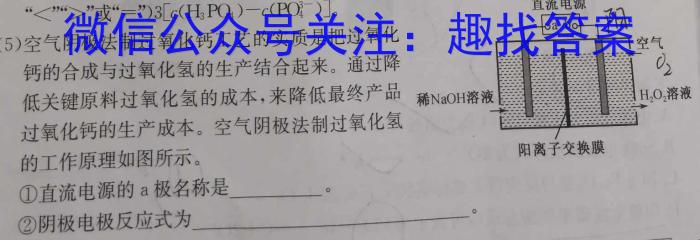 安徽省2023届九年级考前适应性评估（三）（8LR）化学