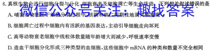 袁隆平先生和他的助手李必湖等人在海南三亞發現了花粉敗育的野生稻