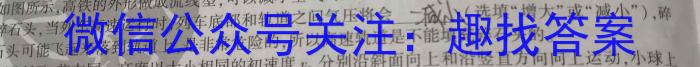 学林教育 2023年陕西省初中学业水平考试·临考冲刺卷(B)f物理