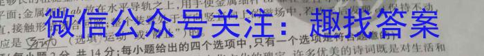 快乐考生 2023届双考信息卷·第八辑 锁定高考 冲刺卷(四)物理`