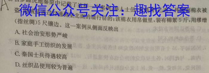 2023届陕西省九年级教学质量检测(正方形包黑色菱形)历史