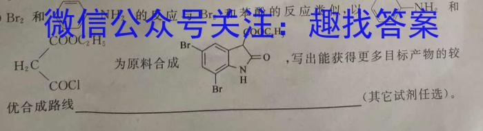 湖南省郴州市2023届高三全真模拟适应性考试（5月）化学