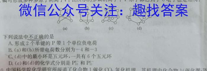 河南省2023年九年级考前适应性评估二化学