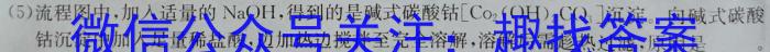 师大名师金卷2023年陕西省初中学业水平考试（八）化学