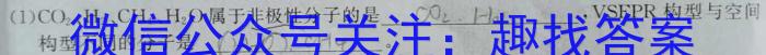 2023届全国普通高等学校招生统一考试JY高三终极一考卷(二)化学