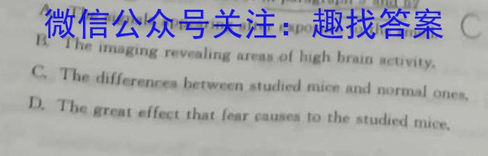 昆明市第一中学2023届高中新课标高三第十次考前适应性训练英语