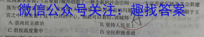 师大名师金卷2023年陕西省初中学业水平考试模拟卷(六)历史