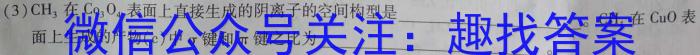2023年陕西省初中学业水平考试全真模拟预测试卷A化学