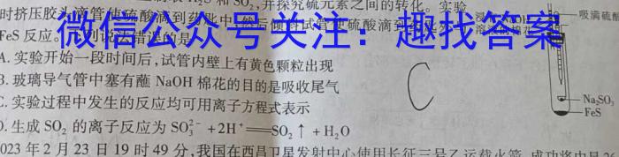 桂柳文化 2023届高考桂柳鸿图仿真卷一(1)化学