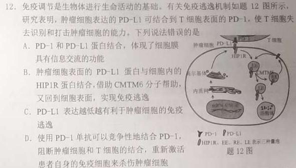 2022-2023学年山东省高一质量检测联合调考(23-496A)生物