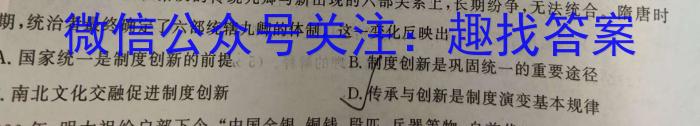 天一大联考 2022-2023学年高三考前模拟考试历史