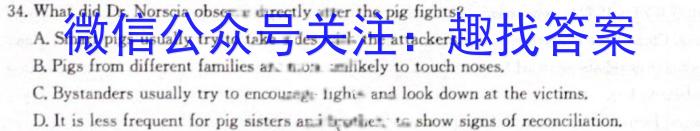 2023年广东省普通高中综合能力测试（5月）英语