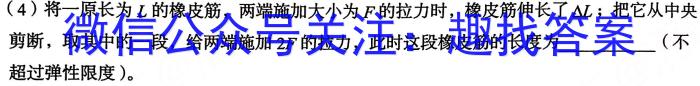 2023年泰安市高考全真模拟试题(23-360C)物理`