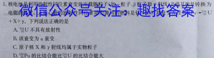 2023年陕西省九年级临考冲刺卷（A）l物理