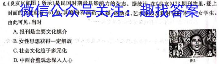 2023届安徽省中考规范总复习(九)历史