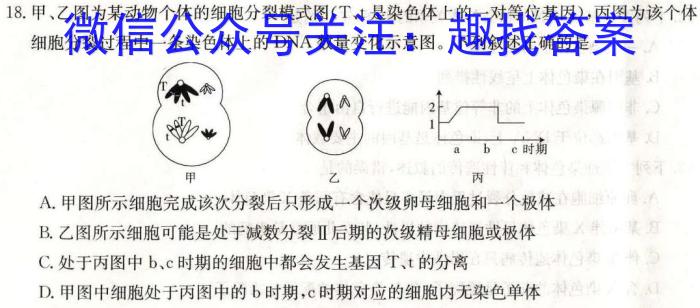 2023年普通高等学校招生全国统一考试适应性考试(5月)生物试卷答案