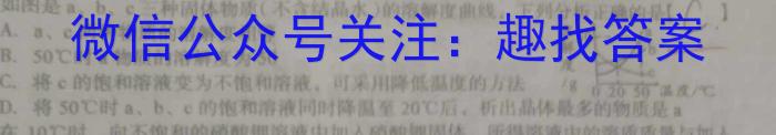 （二轮）名校之约·中考导向总复习模拟样卷（九）化学