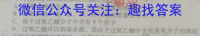 河南省2023年九年级考前适应性评估二化学