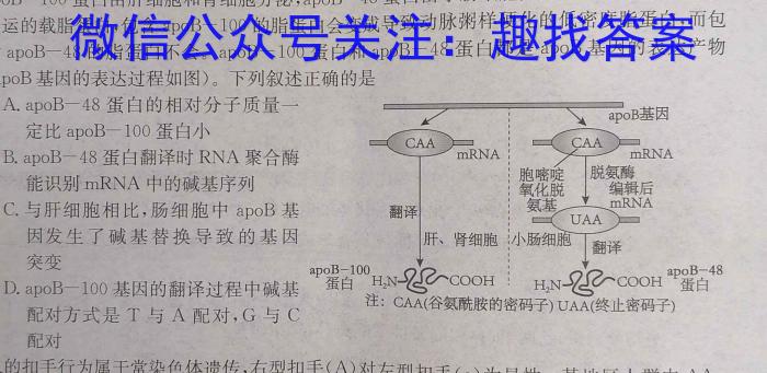 2023年普通高等学校招生伯乐马押题考试（二）生物