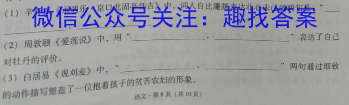 文博志鸿 2023年河南省普通高中招生考试试卷(夺冠一)语文