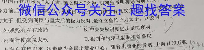 T2·2023年陕西省初中学业水平考试模拟试卷A&政治