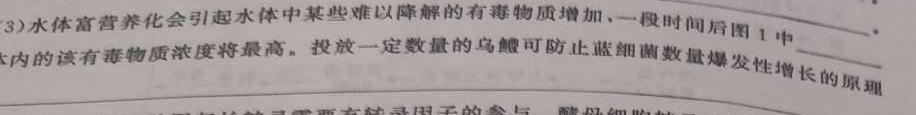 武昌区2023届高三5月质量检测生物