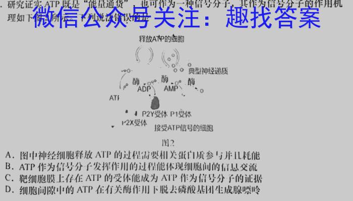 2023年普通高等学校招生全国统一考试精品预测卷(二)生物试卷答案